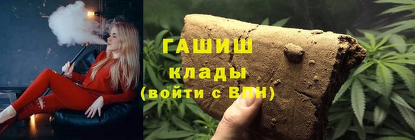 гидра Абаза