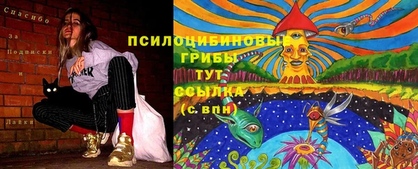 гидра Абаза