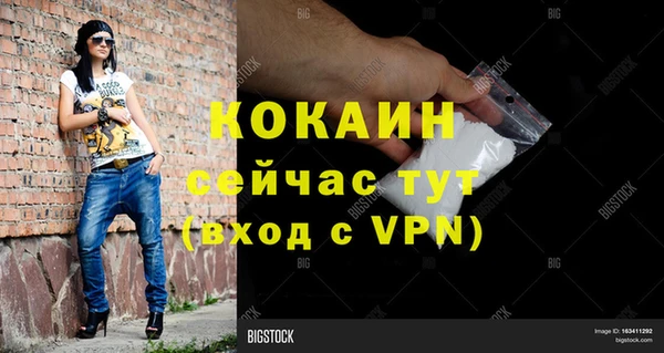 гидра Абаза
