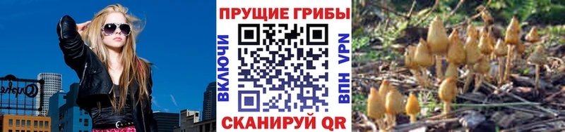 мега ТОР  купить наркотики цена  Югорск  Галлюциногенные грибы прущие грибы 