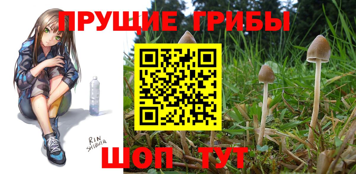 Югорск  купить наркотик  Вход с VPN  Галлюциногенные грибы GOLDEN TEACHER 
