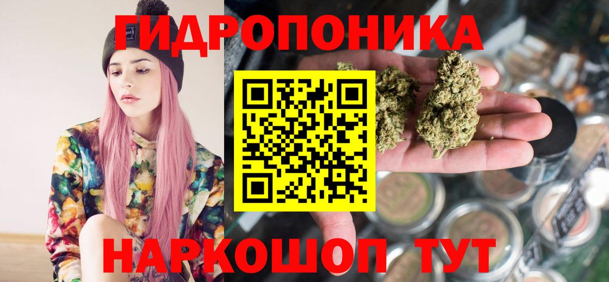 Шишки марихуана гибрид  Вход с VPN  Югорск  Канабис OG Kush  Конопля планчик  Конопля Amnesia 